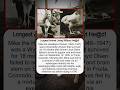 This Chicken Became A Headline In 1945  #history #story #facts #shorts