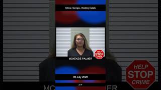 Gilmer, Georgia Booking Records - 05 July 2026