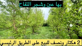 2،5 هكتار عدلية للبيع طريق جنان ماس تحتوي شجر التفاح بها عين وعلى الطريق الرئيسي تمن البيع 60 مليون