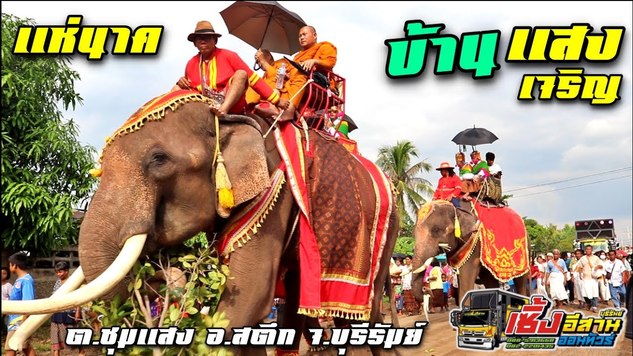 ขบวนแห่นาค ช้าง3เชือก บ้านแสงเจริญ ต.ชุมแสง อ.สตึก จ.บุรีรัมย์ byรถแห่เซิ้งอีสาน