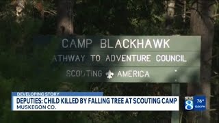 Deputies: Child killed by falling tree at Scouting camp