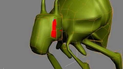 modeling an insect thing