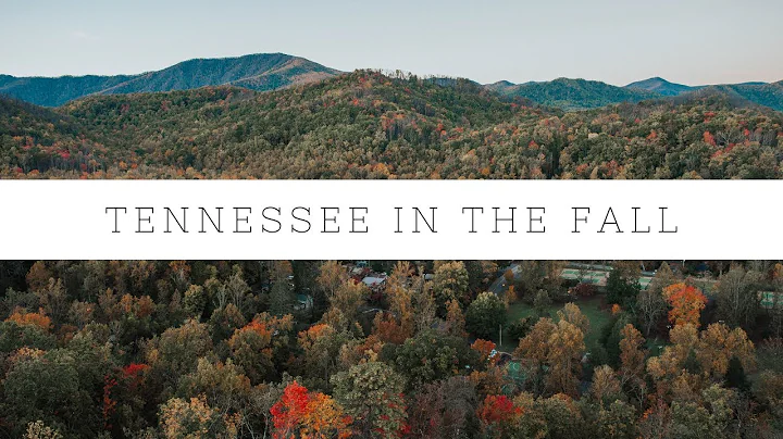 Fall in Tennessee