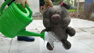 Funny cute! Cleaning teddy bear Pig Man Washing the strangest method in the world ASMR