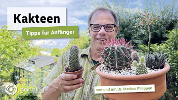 Welche Arten von Kakteen gibt es?