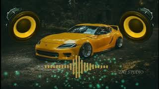 Serena Safari Tiktok Remix Kim Moyna | Hakan Akkus | Bass Boosted | Kim Moyna | Tiktok Remix Safari