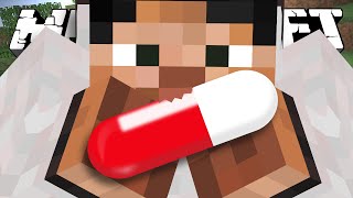 УЛЕТНЫЕ ТАБЛЕТКИ - Minecraft (Обзор Мода) видео Кошка съела таблетку валерьянки