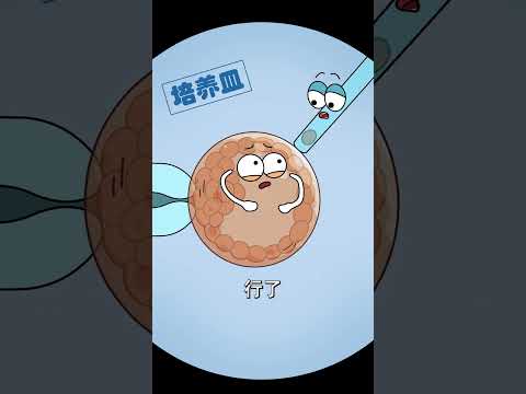 试管婴儿（下）test tube baby-2