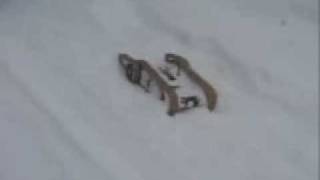 iRobot PackBot tobt sich im Schnee aus