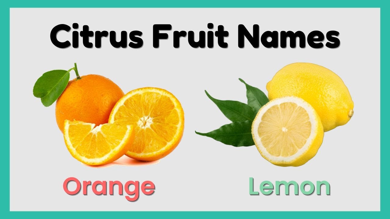 Citrus Fruit Names in english | Fruits Flashcard | Fruits name for kids 