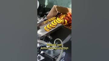 Eight-station turntable machine paired with robotic arms to achieve automated production