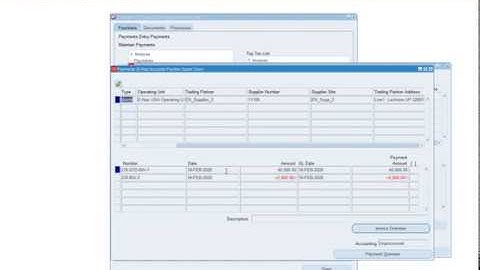 Create Credit Memo and make a payment against CR