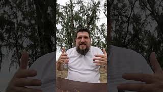МАВРИКИЙ - баланс цивилизации и природы для Вашей райской жизни | Переезд и отдых на Маврикии