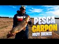 QUE CARPON PESCO ESTE HOMBRE | 4K