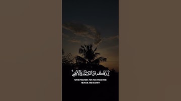 سورة فاطر [3]