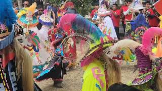 Carnaval De Zacualpan cumbre Tajn 2025