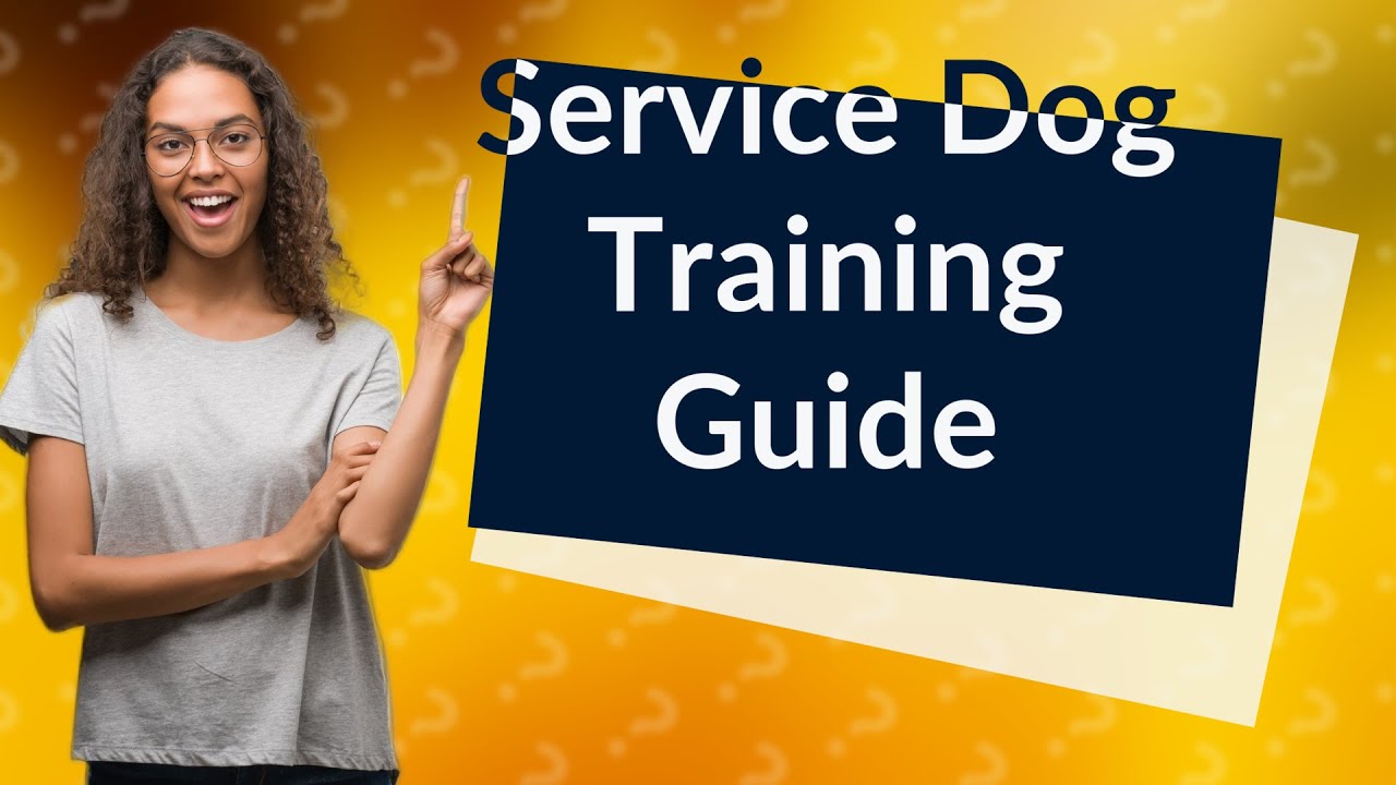 How Can I Train My Dog to Have Service Dog Skills? YouTube
