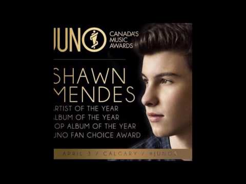 Shawn Mendes