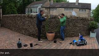 Planting On Our Clematis Time Lapse