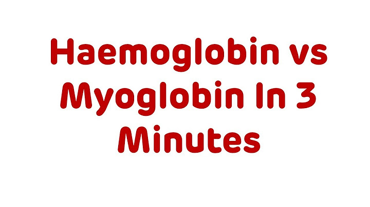 So sánh cấu trúc của hemoglobin và myoglobin năm 2024