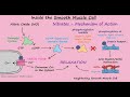 Nitroglycerin mechanism of action for angina pectoris