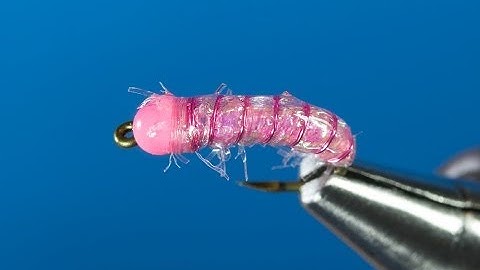 Pink bug