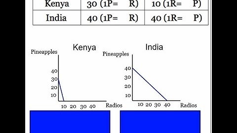 Module 4 Lecture Video