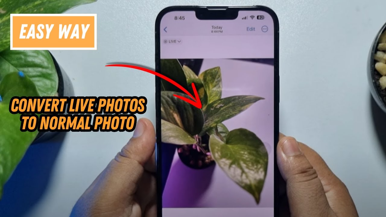 Как преобразовать живые фотографии в обычные фотографии на iPhone
