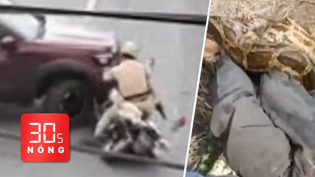Bản tin 30s nóng: Truy tìm tài xế ô tô tông ngã xe cảnh sát; Cứu người bị trăn 3,6m quấn
