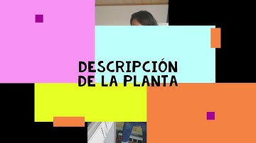 MPS Estacion Procesos