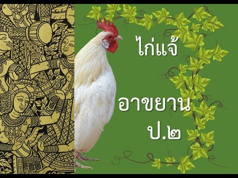 ไก่แจ้ อาขยานบทเลือก ป.๒