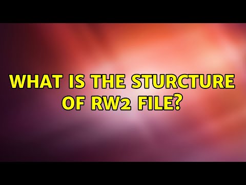 What is the sturcture of RW2 file?