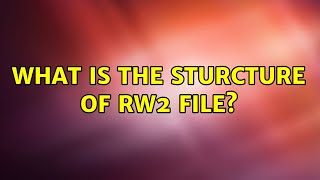 What is the sturcture of RW2 file?