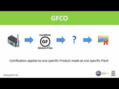 a-look-inside-gfco-certification:-the-truth-behind-the-logo