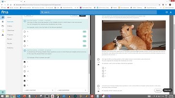 WfQ6 - ANS Digital Examination