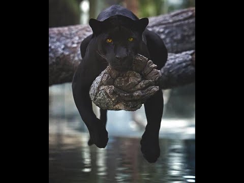 Booba - Mona Lisa feat JSX (Clip Officiel)