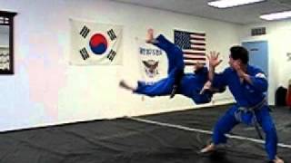 Hapkido Pull Throw