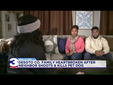 Mississippi family ‘afraid’ after neighbor shoots dog - YouTube