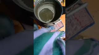 Famous Performance task in T.L.E (3rd quarter) Tinolang Manok Net Worth