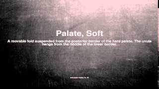 Medical vocabulary: What does Palate, Soft mean screenshot 5