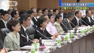 介護や不妊治療の保険で新商品解禁　規制見直しで(13/06/07)