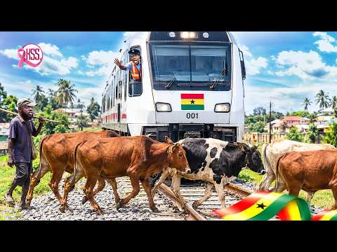 Train Collides With Three Cows… What Is Happening 💔💔😂😂