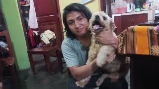 Canela con su gianpi