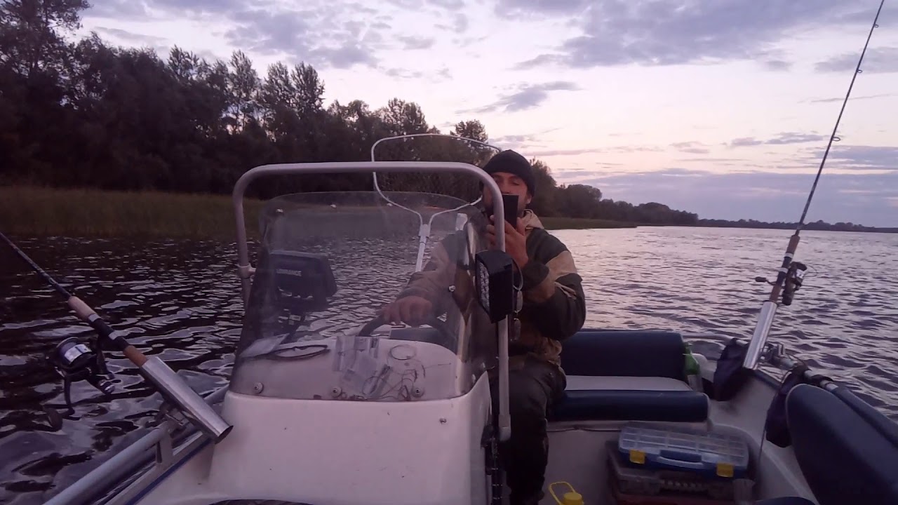 Волга 2018,рыбалка.real fishing, nature beauty.