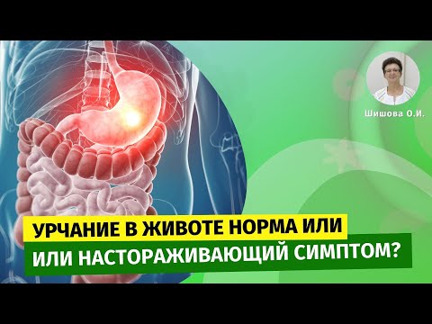 Урчание в животе норма или настораживающий симптом? [Шишова О.И.]