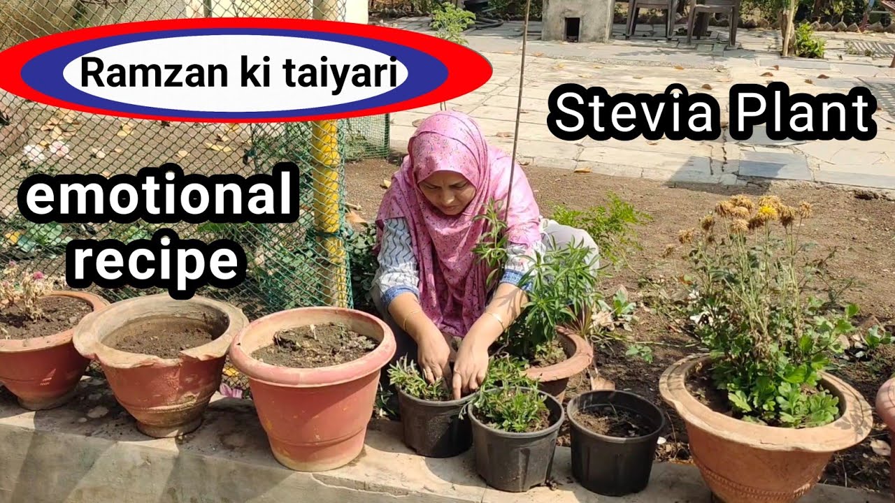 Emotional recipe | kitchen gardening 