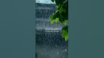 سورة البلد عبد الباسط عبد الصمد