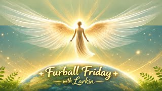 Furball Friday with Larkin
