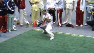 CMAT 17 - Yang Zhang Adult Advance Modern LongFist (ChangQuan)