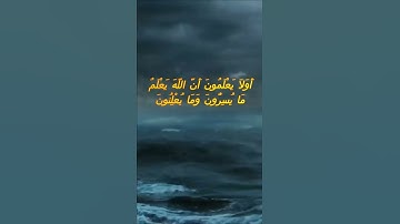 سورة البقرة اية 77 - مع صوت البحر بصوت جميل - أَوَلاَ يَعْلَمُونَ أَنَّ اللَّهَ يَعْلَمُ